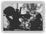 Tim Ross Cam shadow